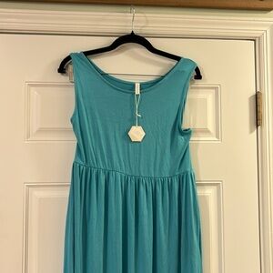 Pinkblush maternity dress